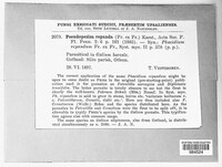 Pseudopeziza medicaginis image